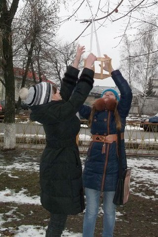 В Могилёве школьники организовали «столовую для птиц»