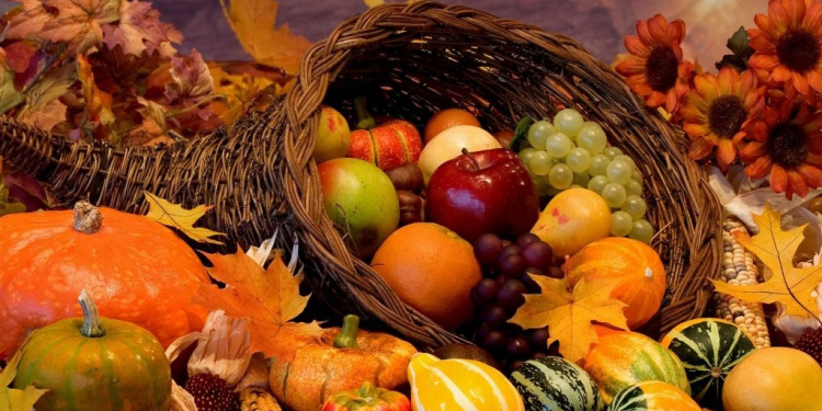 Осенние сельскохозяйственные ярмарки 8-9 октября в Могилеве будут работать на трех площадках