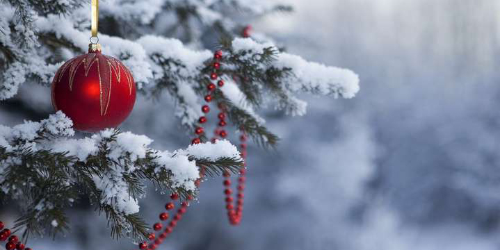 Праздничная иллюминация, новогодние ели, световые конструкции: Могилев украсят к новогодним праздникам к 10 декабря