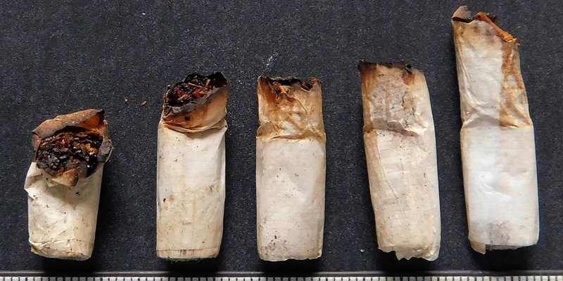 Сигареты с марихуаной исследовали могилевские эксперты