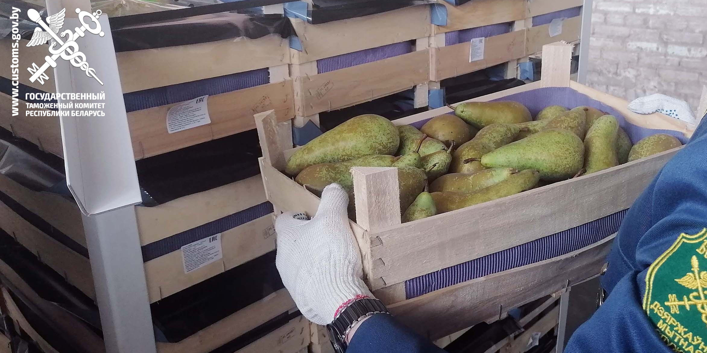 Могилевские таможенники пресекли попытки незаконного перемещения более 38 тонн груш