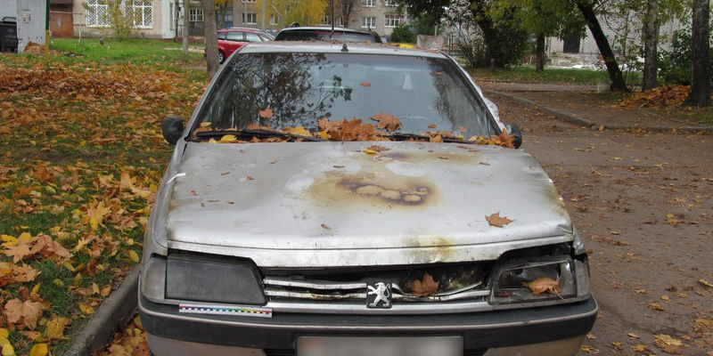 Могилевские эксперты установили причину пожара в автомобиле