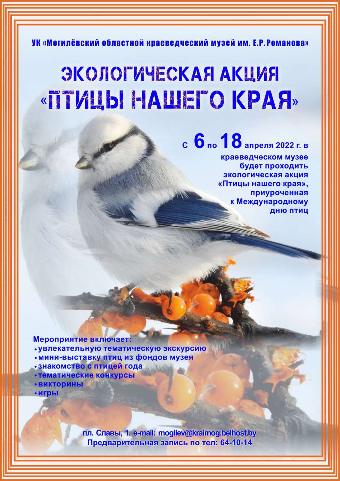 На экологический праздник «Птицы нашего края» приглашает могилевчан краеведческий музей