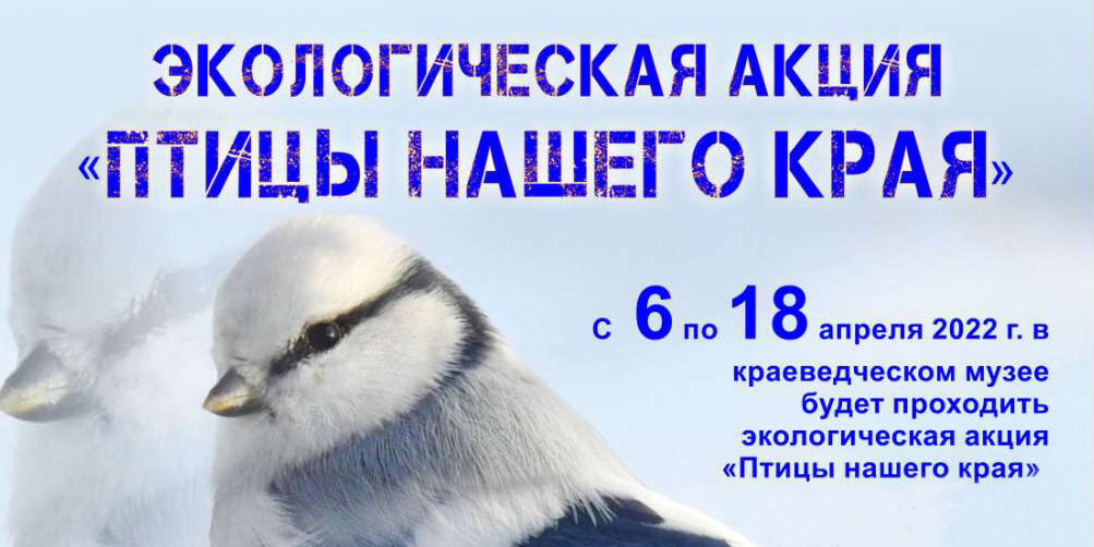 На экологический праздник «Птицы нашего края» приглашает могилевчан краеведческий музей