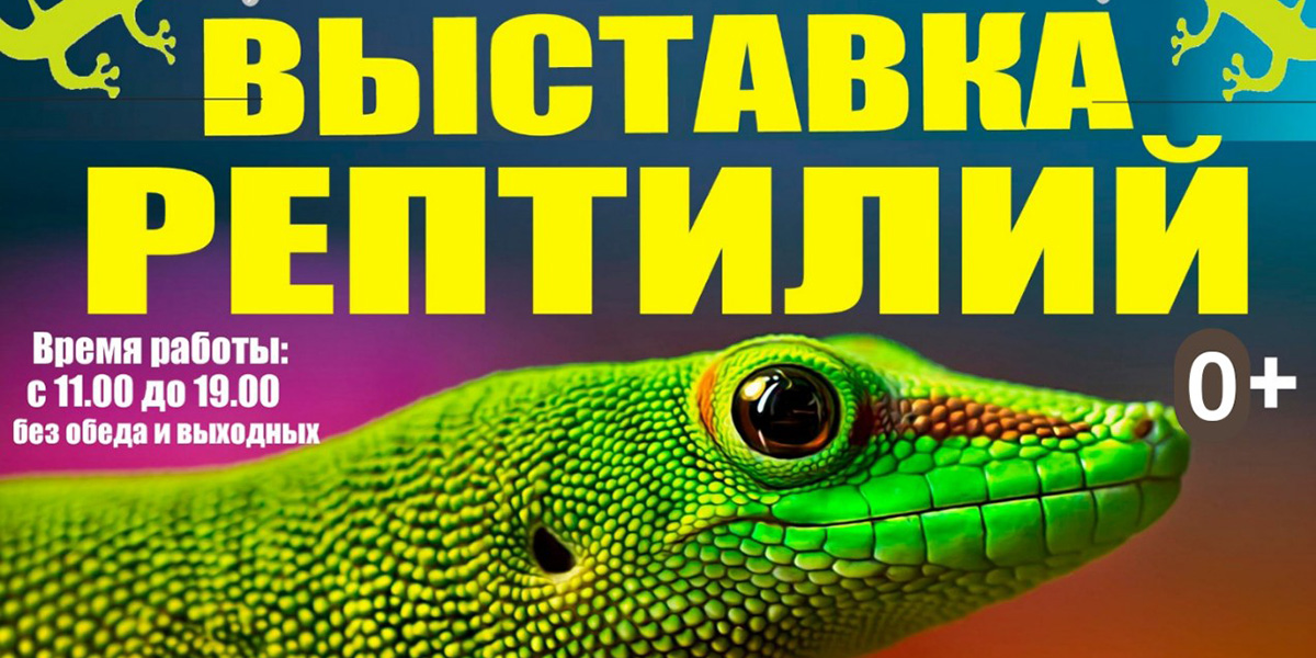 Большая выставка рептилий откроется в Могилеве 4 августа