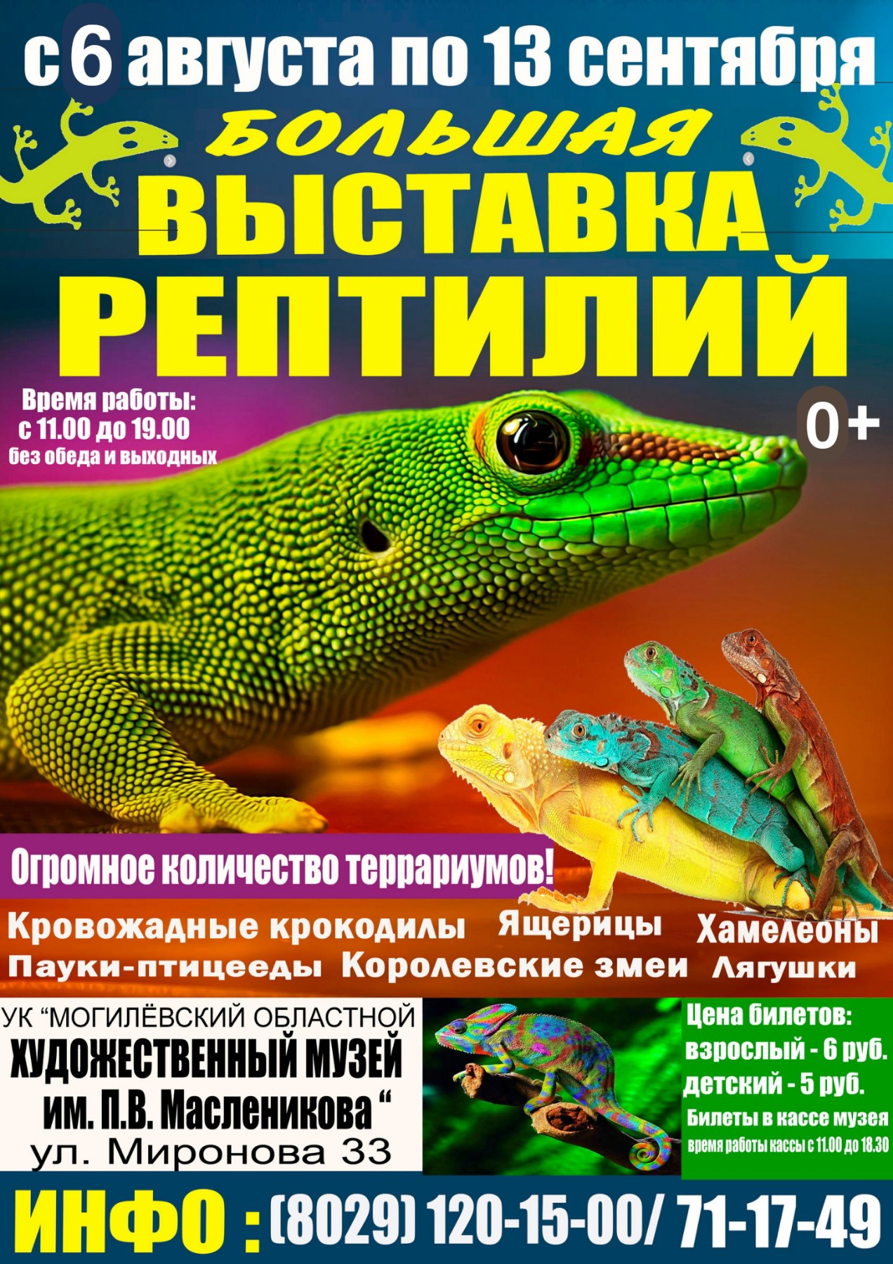 Большая выставка рептилий откроется в Могилеве 4 августа