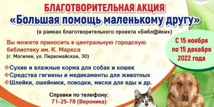 Могилевчан приглашают присоединиться к благотворительной акции в помощь бездомным животным
