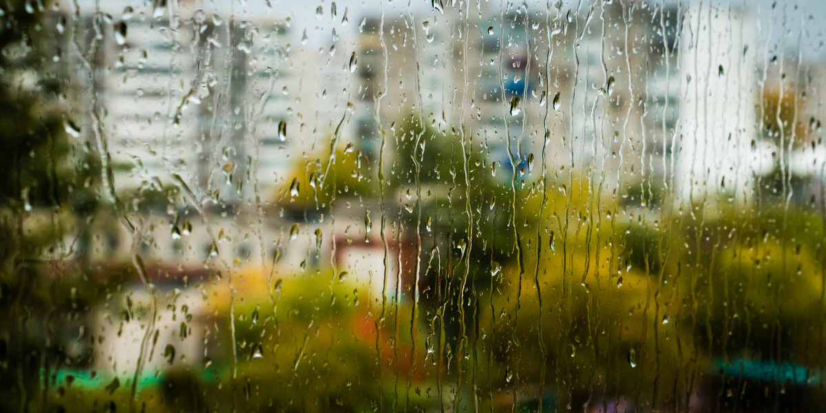 Дождь, гроза, шквалистый ветер: оранжевый уровень опасности объявлен в Могилеве на 25 июля