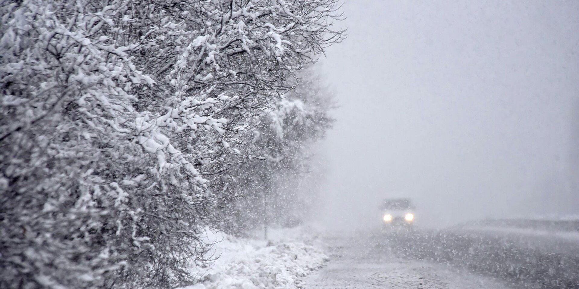О последствиях снегопада в Могилевской области рассказали в МЧС