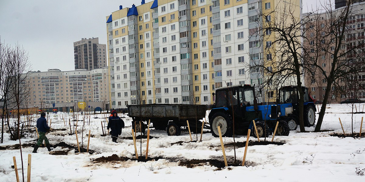 Зеленая зона украсит микрорайон Спутник в Могилеве