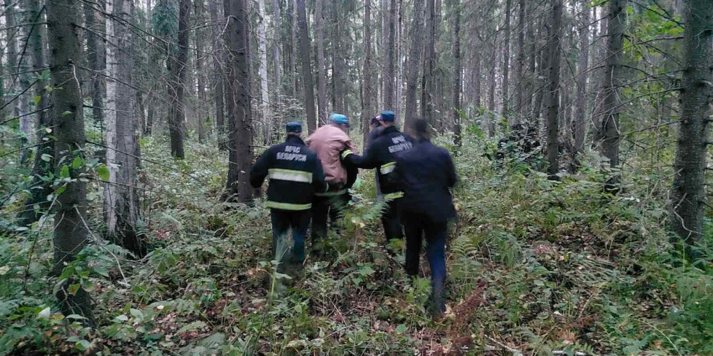 В Могилевском районе пенсионер ушел за грибами и заблудился: соседи обратились за помощью к спасателям