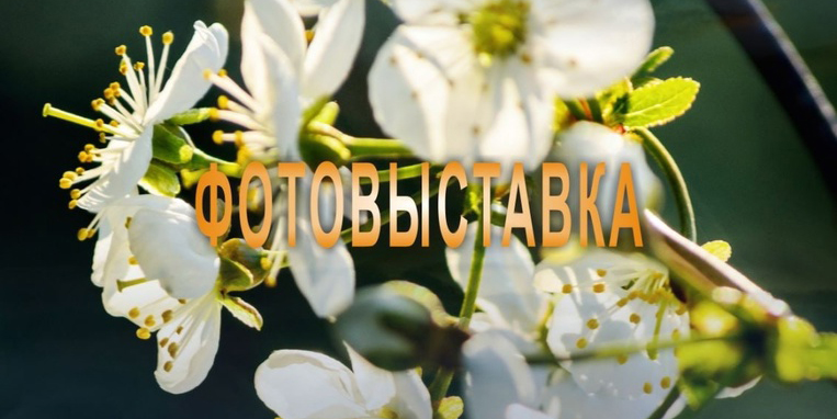 Фотовыставка Николая Хотяинцева откроется в Могилеве 31 марта