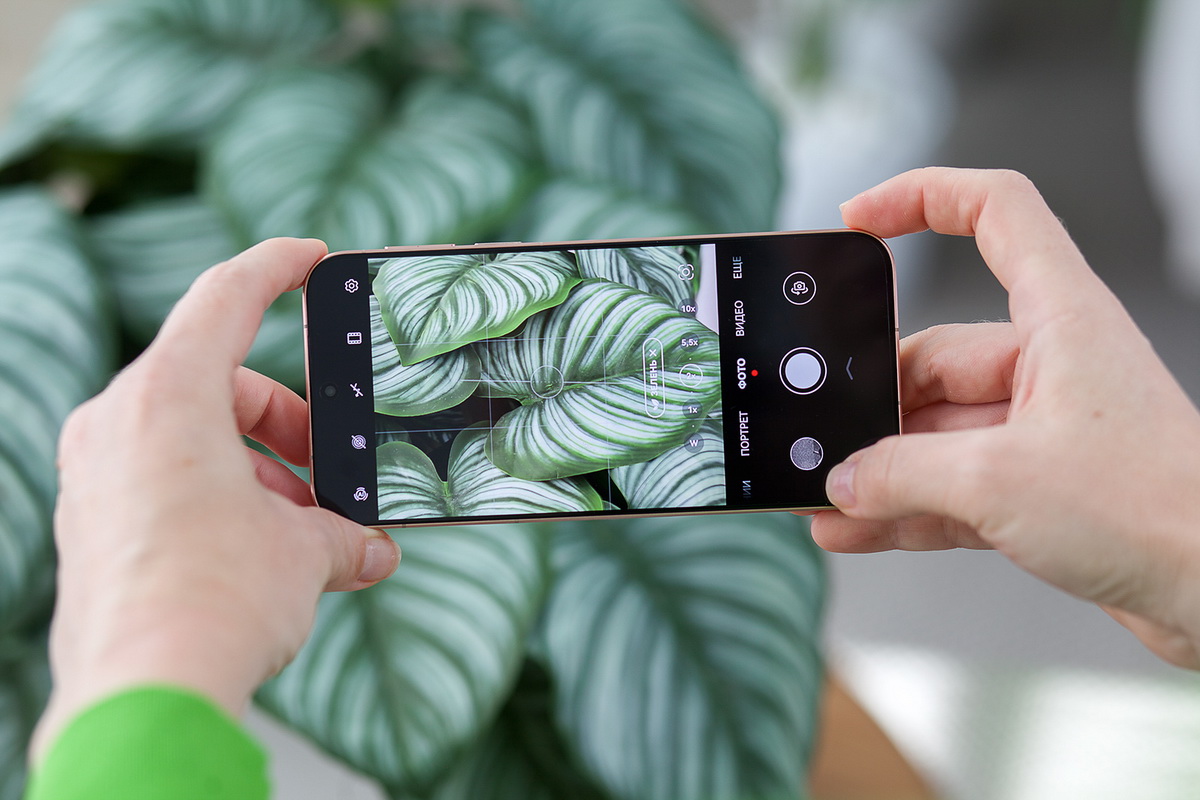 Уже в Могилеве: обзор нового флагманского смартфона Huawei Pura 80