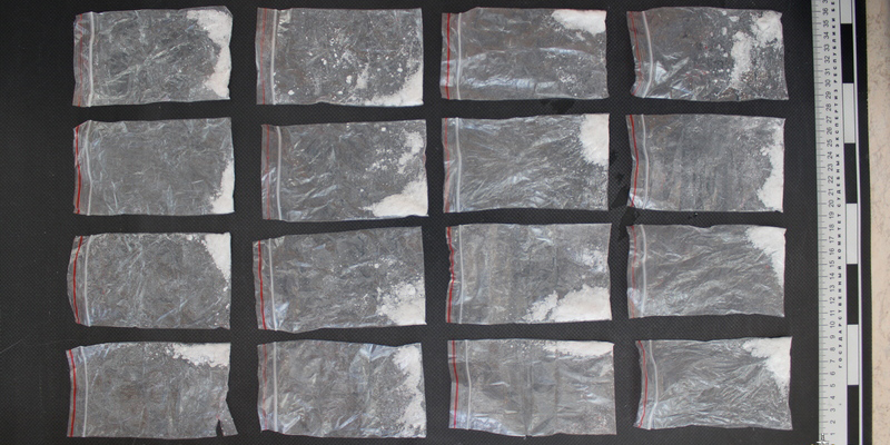 В Могилеве ДНК-экспертиза помогла установить личности закладчиков