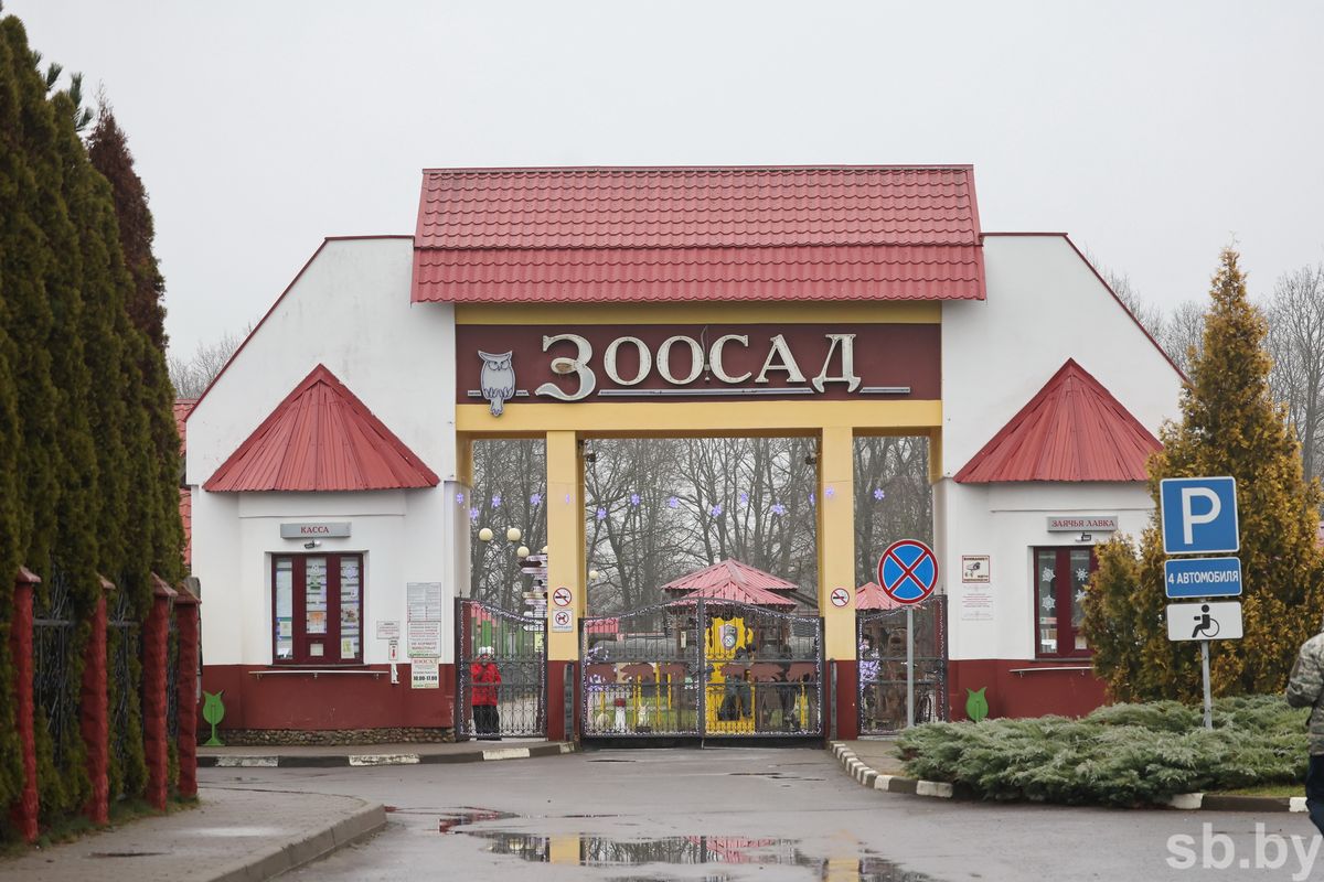 Шотландская корова, канадский волк, эму и&nbsp;даже кенгуру: новые виды животных пополнили семейство Могилевского зоосада