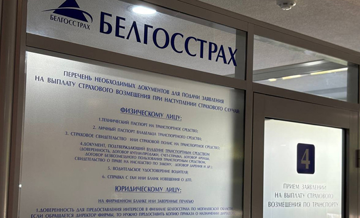 Стихия ударила по имуществу? Белгосстрах объясняет, как быстро получить компенсацию за ущерб