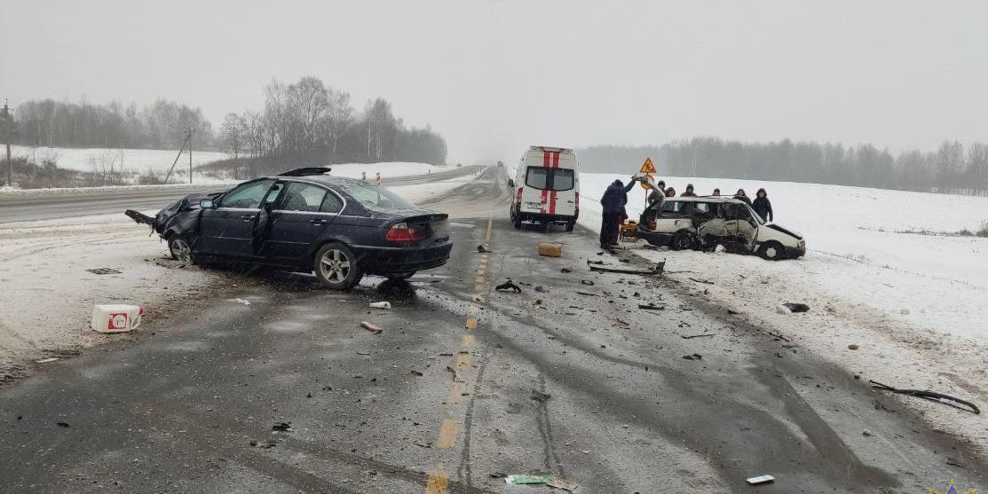 ДТП в Могилевском районе: работники МЧС деблокировали водителя
