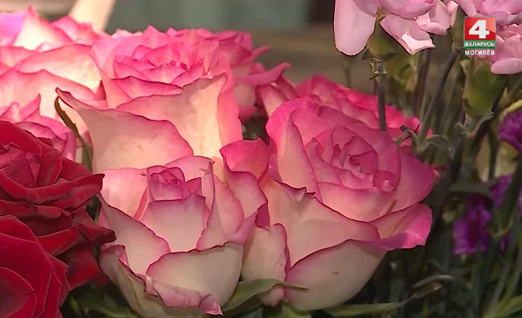 15 тысяч цветов для города: как в «Могилевзеленстрое» готовятся к 8 Марта
