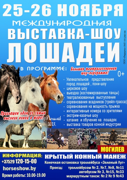 20231125-26_horses