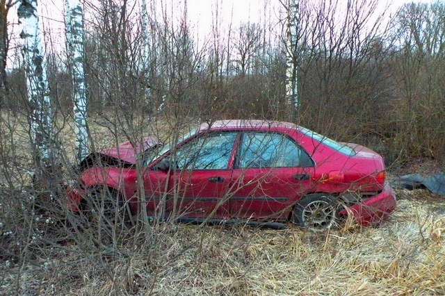 Две могилевчанки врезались в дерево в Краснопольском районе