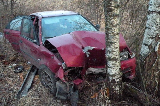 Две могилевчанки врезались в дерево в Краснопольском районе