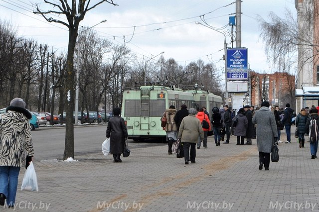 В Могилёве остановились троллейбусы 