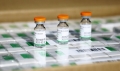 В Беларусь до конца августа поступит около 1 млн доз китайской вакцины от COVID-19