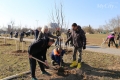 Общегородской субботник прошел в Могилеве